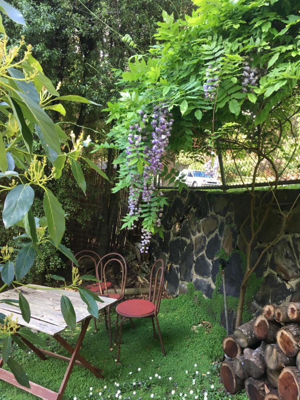 Stone'S Throw Cottage Bed And Breakfast Belgrave Exteriör bild
